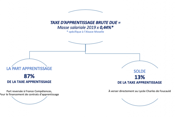 schema-taxe-apprentissage schema-taxe-apprentissage